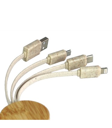 3-in-1 Data Cable